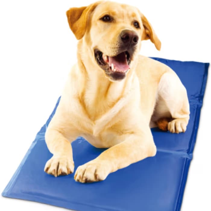 Pawfect Cooling Mat