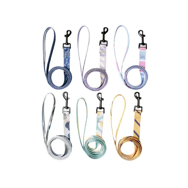 Pawfect Digital Print Leash