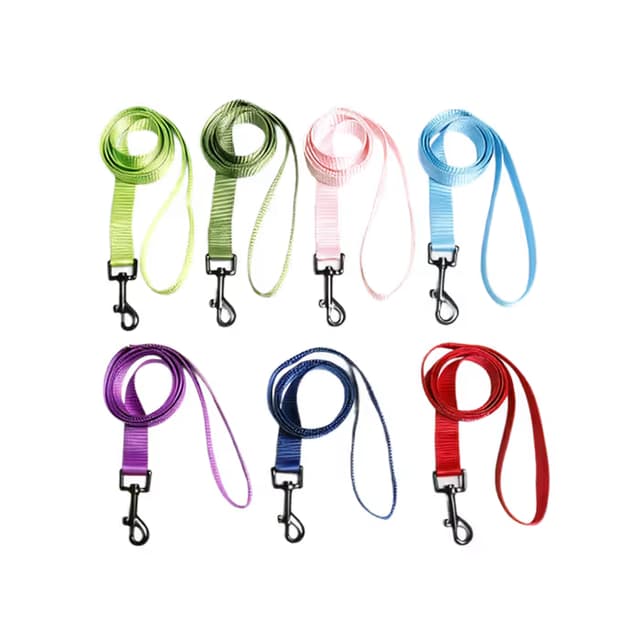 Pawfect Basic Glossy Color Leash